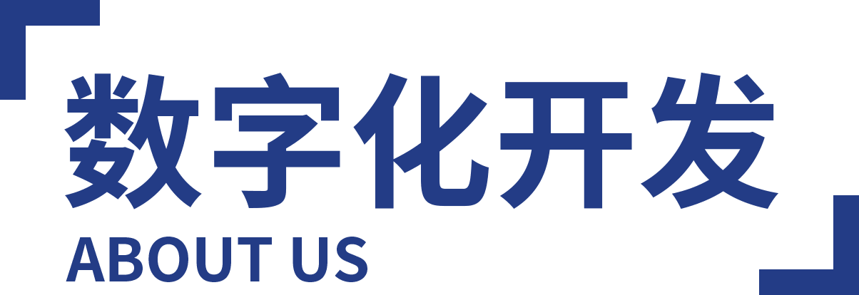 数字化开发
