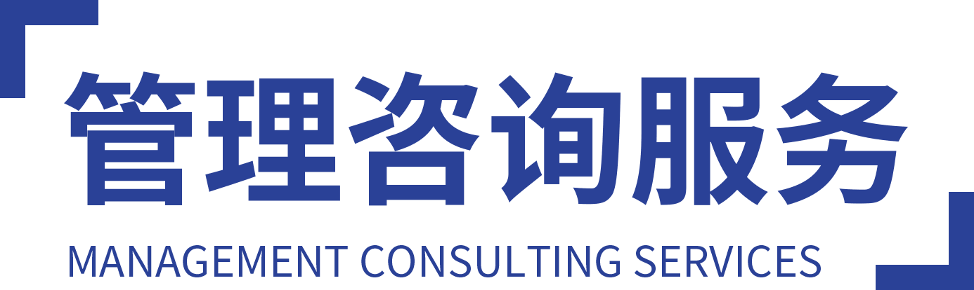 管理咨询服务